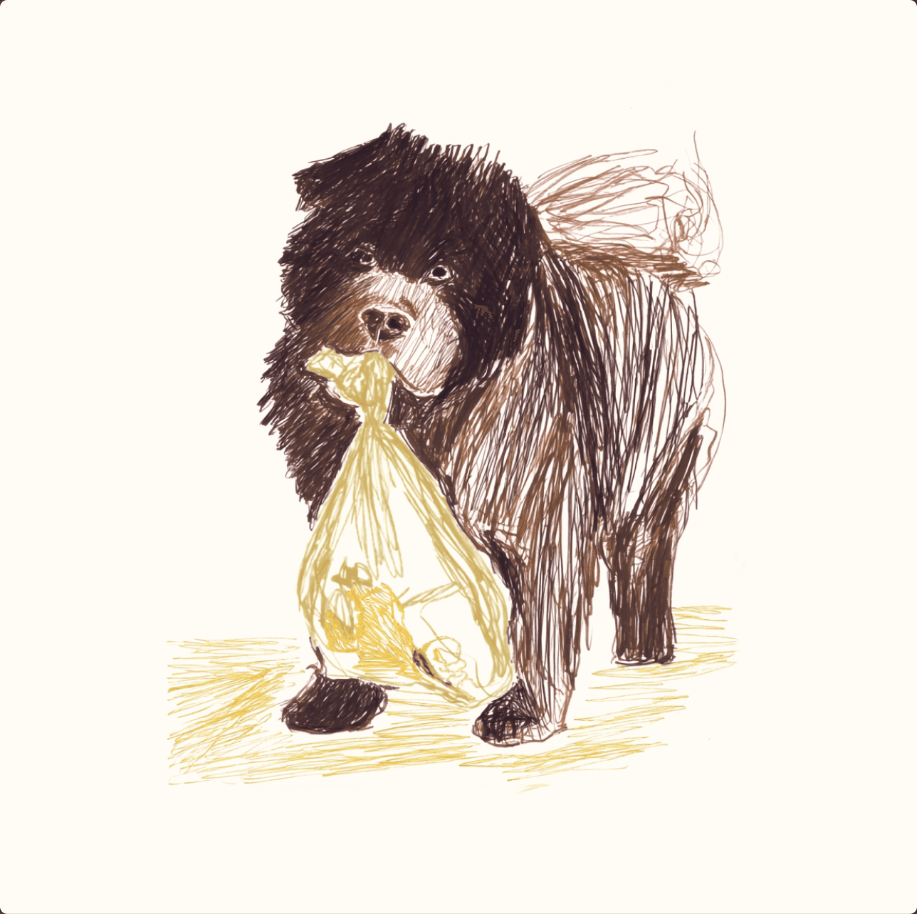 Illustrated bear artwork
