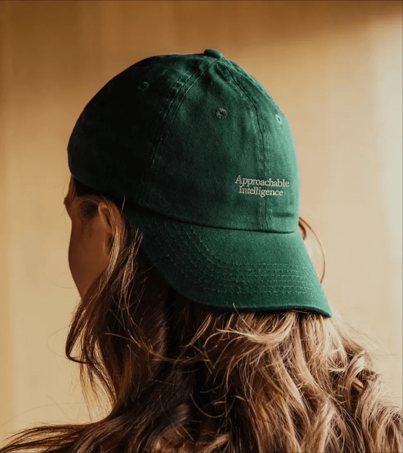 Embroidered Approachable Intelligence cap