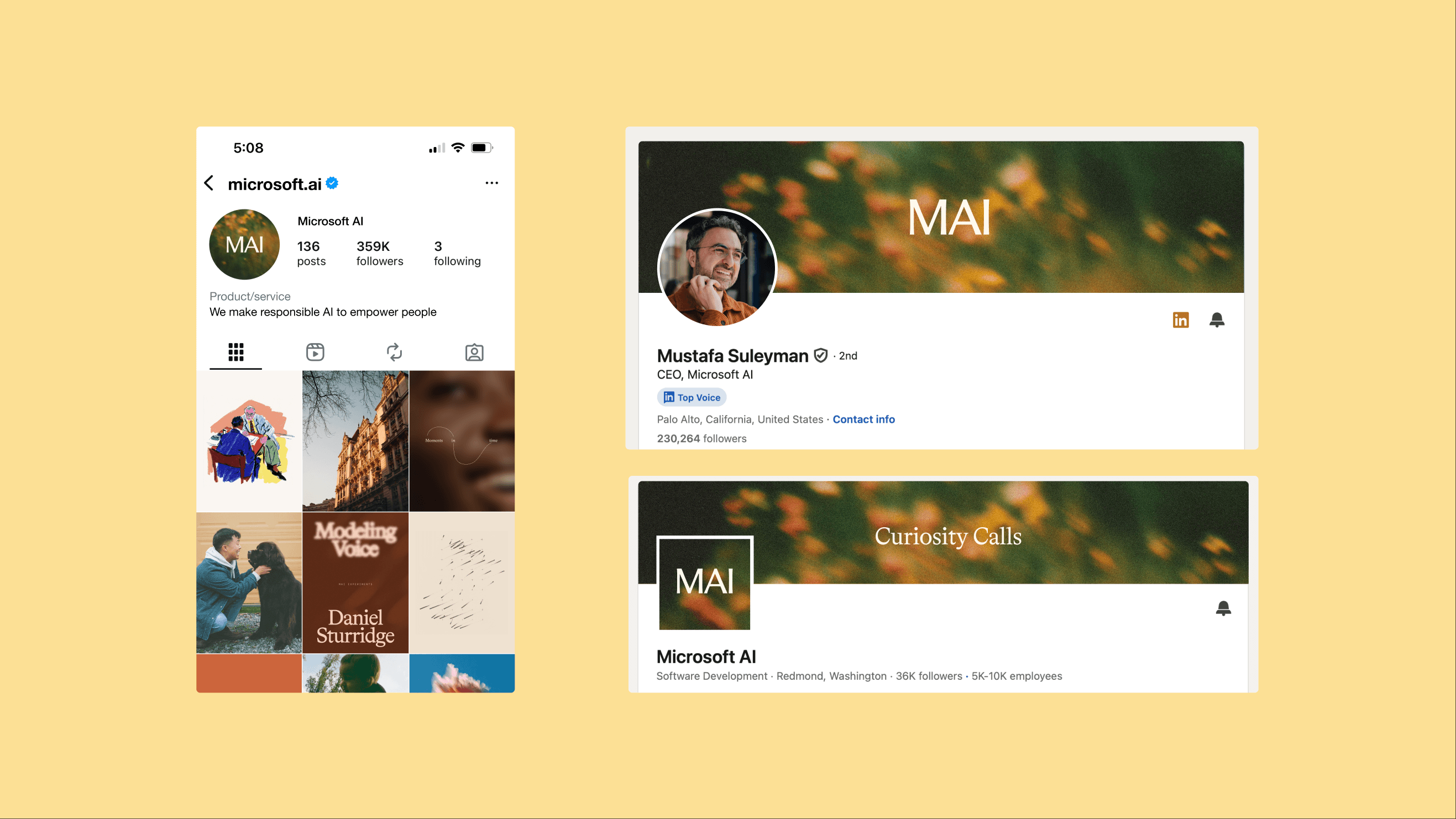 LinkedIn and Instagram brand applications