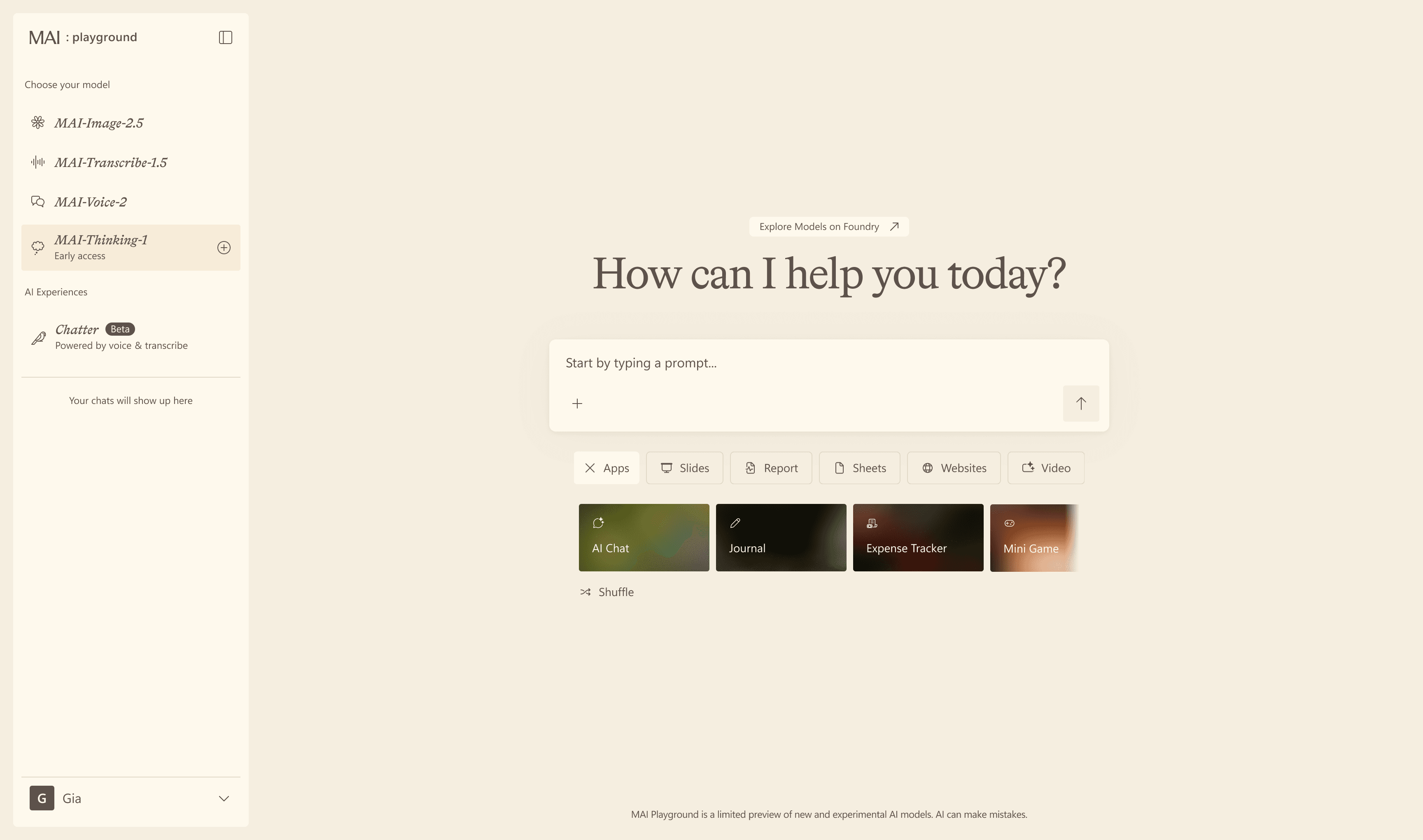 How can I help you today? — prompt experience